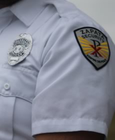 security job and career